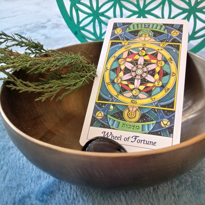 IMG_20190213_153303_196