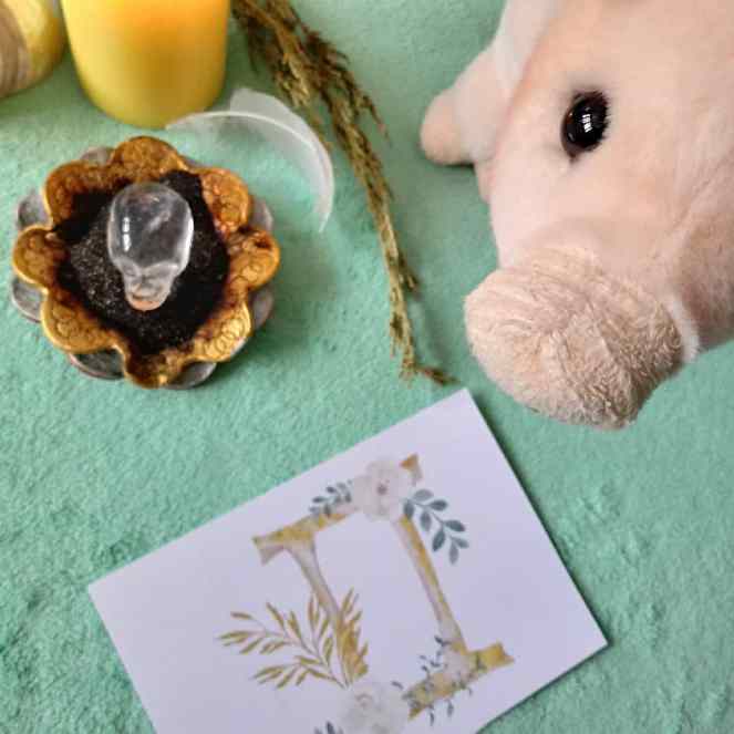 IMG_20190530_142044_766