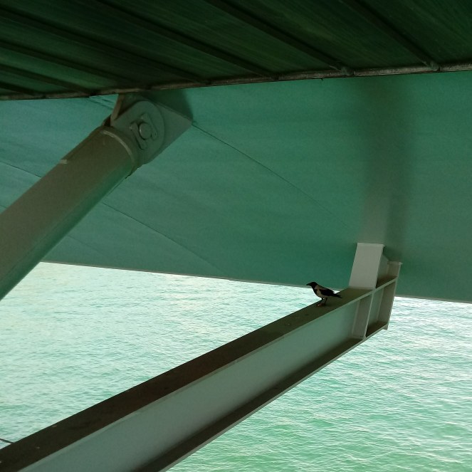 IMG_20191218_195408_487